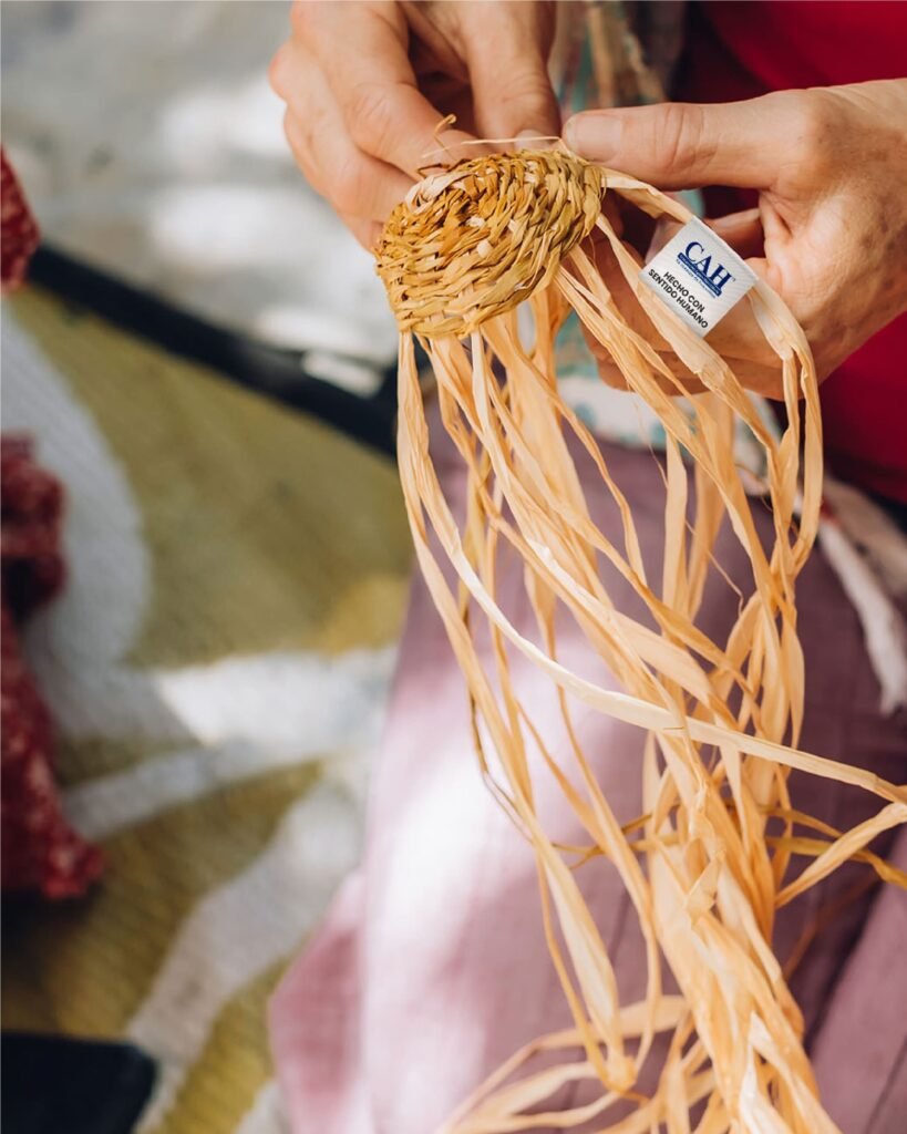 Libro_en corpo y alma_ilustracion_editorial_25 años_construccion